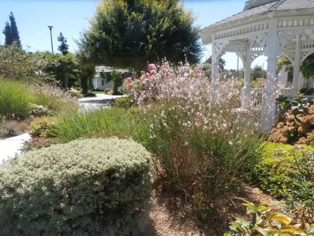 Adventures in Weseland Meek Estate Park