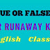 Our Runaway Kite Textual True False Class 10 