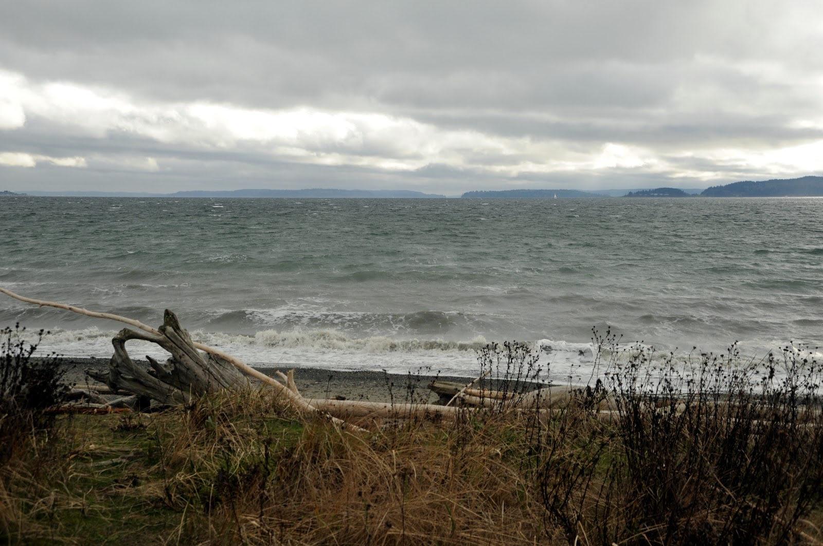 discovery park seattle discovery park seattle