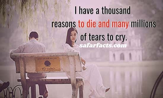 108 + Family Problems Sayings & Quotes-Wise Old Sayings - Amazing Facts