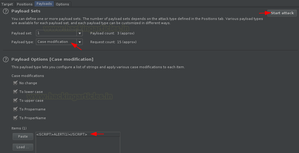 Burp Suite Fuzzing with Intruder