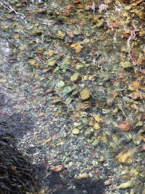 Avalanche Creek colorful rocks