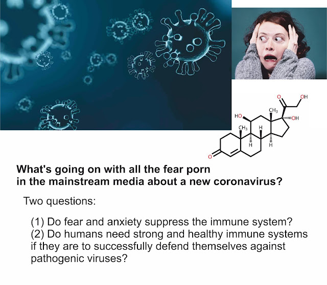 https://www.calmclinic.com/anxiety/immune-system