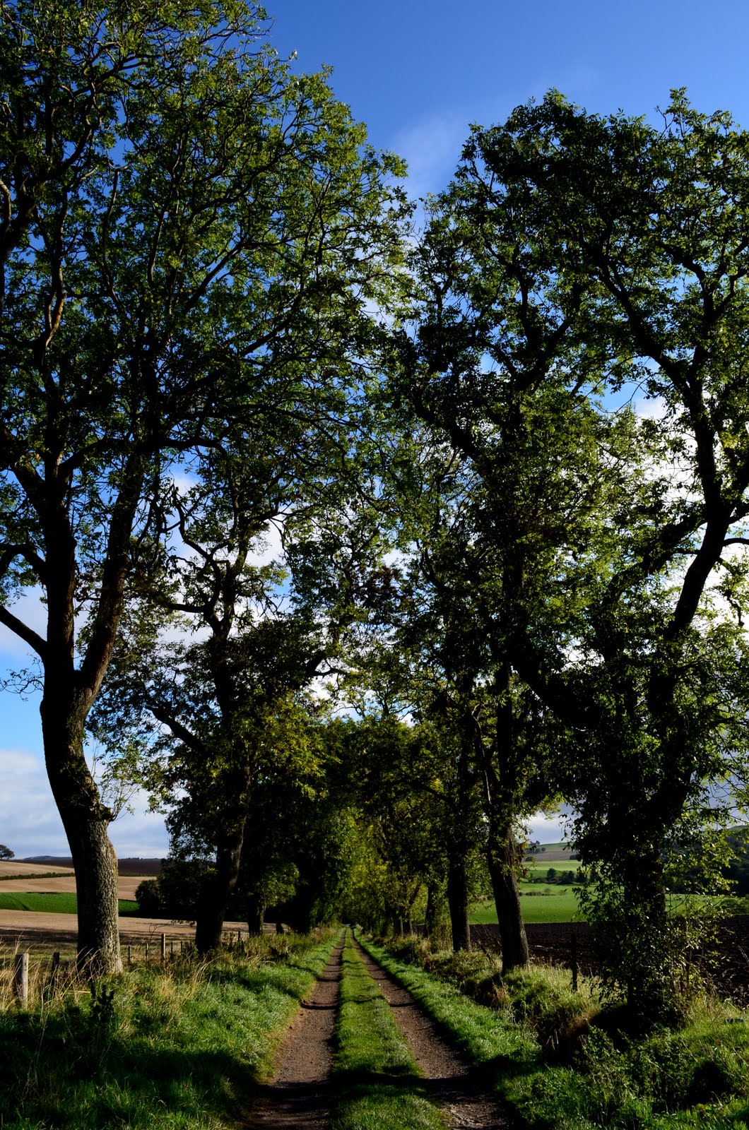 Tour Scotland Tour Scotland Photograph Walking Path Rural Perthshire