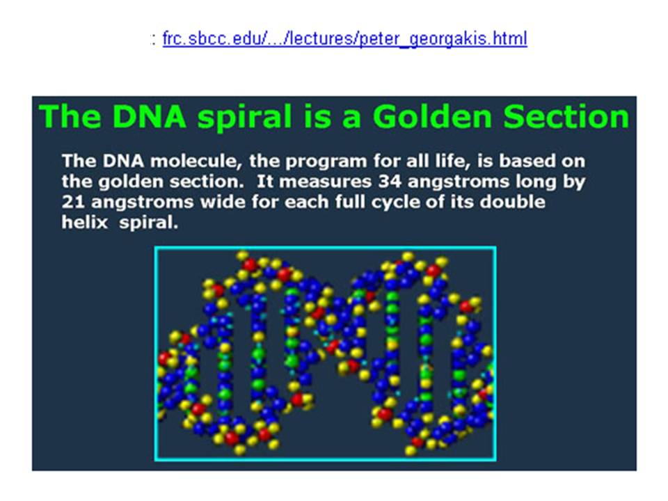 Slide4.JPG