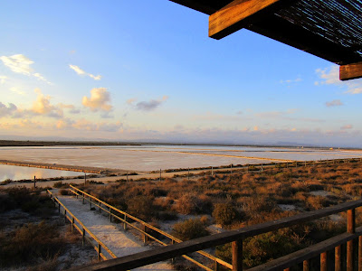 Miradores de la Salina de Santa Pola