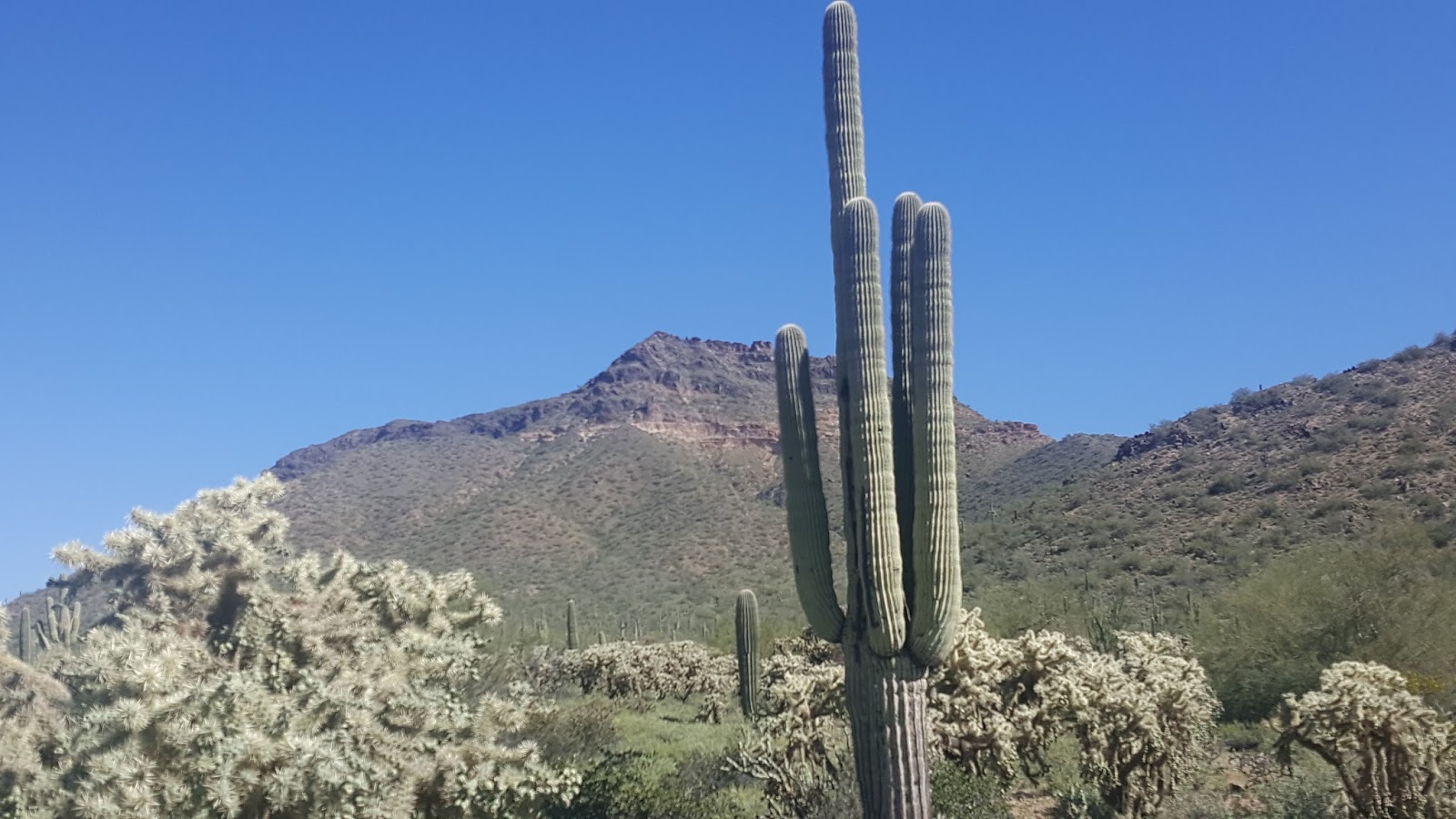 Tales of the Way Time with Family in Mesa, AZ and on to Deming, New Mexico