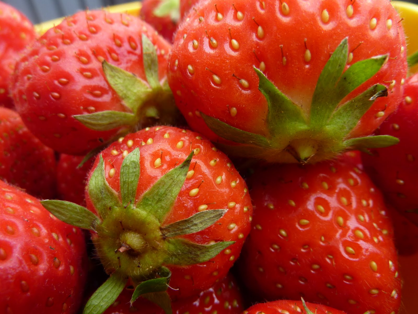 Lilla fritid Muffins med jordgubbar, rabarber och Marsan!
