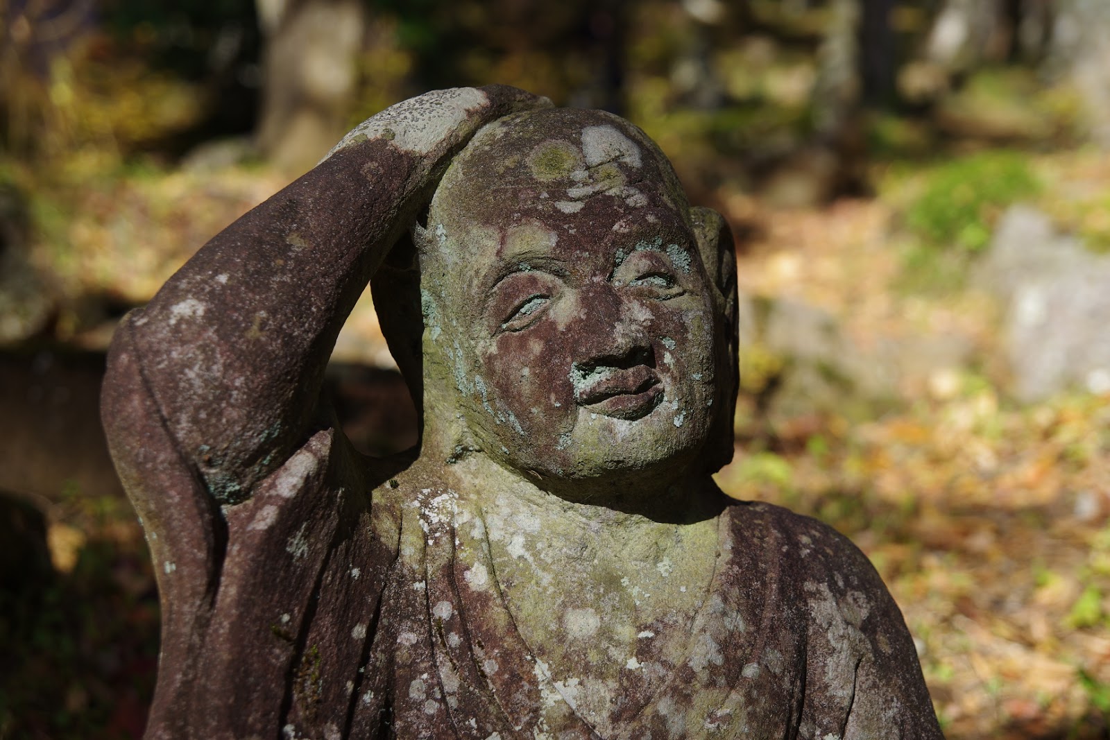 「は」の字日記 聖ニコラウス