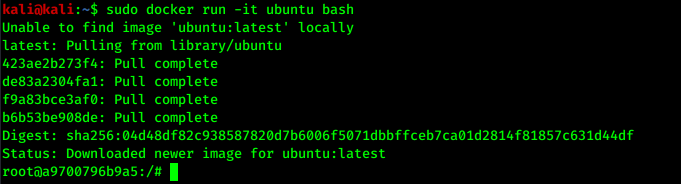 kali docker install kali docker install