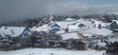 Snowfall seen during in Sandakphu Trekking
