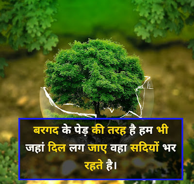 Tree Shayari In Hindi With Image