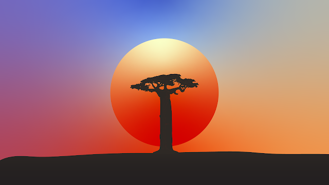 baobab tree minimalist wallpaper for pc desktop