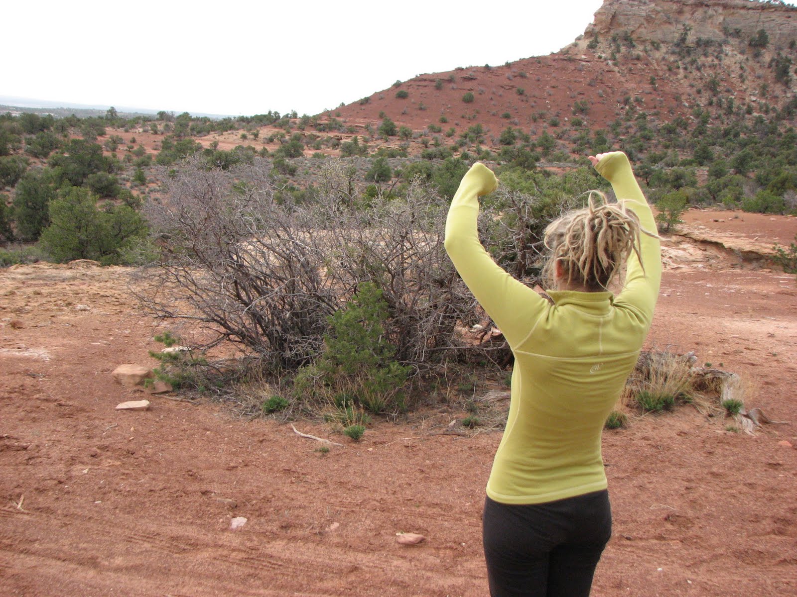 Scenic BiteWays The Patio DriveIn Blanding, UT
