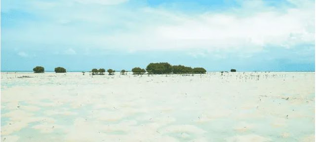 wisata pulau pari