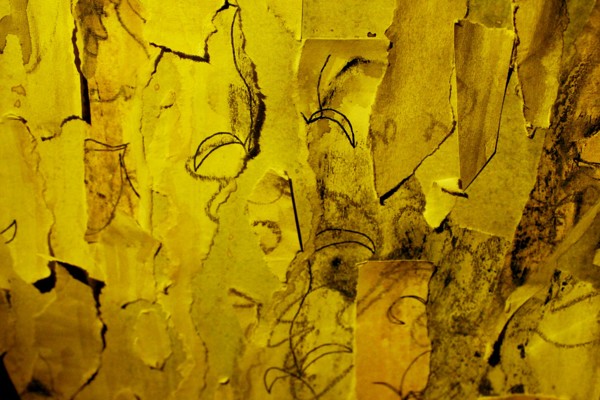 the yellow wallpaper by charlotte perkins gilman the yellow wallpaper by charlotte perkins gilman