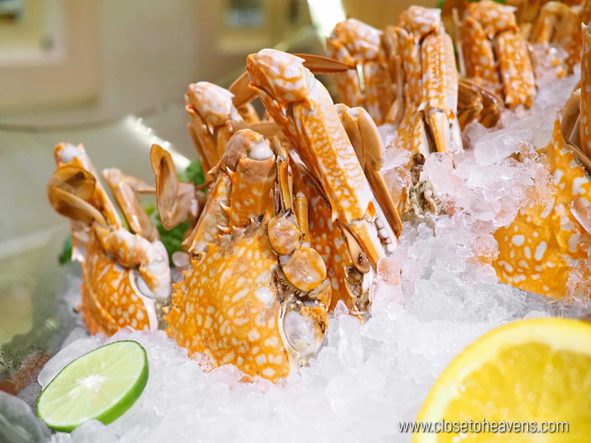 Sheraton Grande Sukhumvit | Sunday Jazzy Brunch Buffet