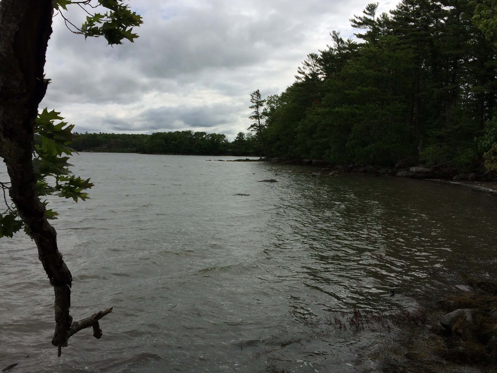 Damariscotta Camping Trip (Damariscotta Mills Fish Ladder, Pemaquid