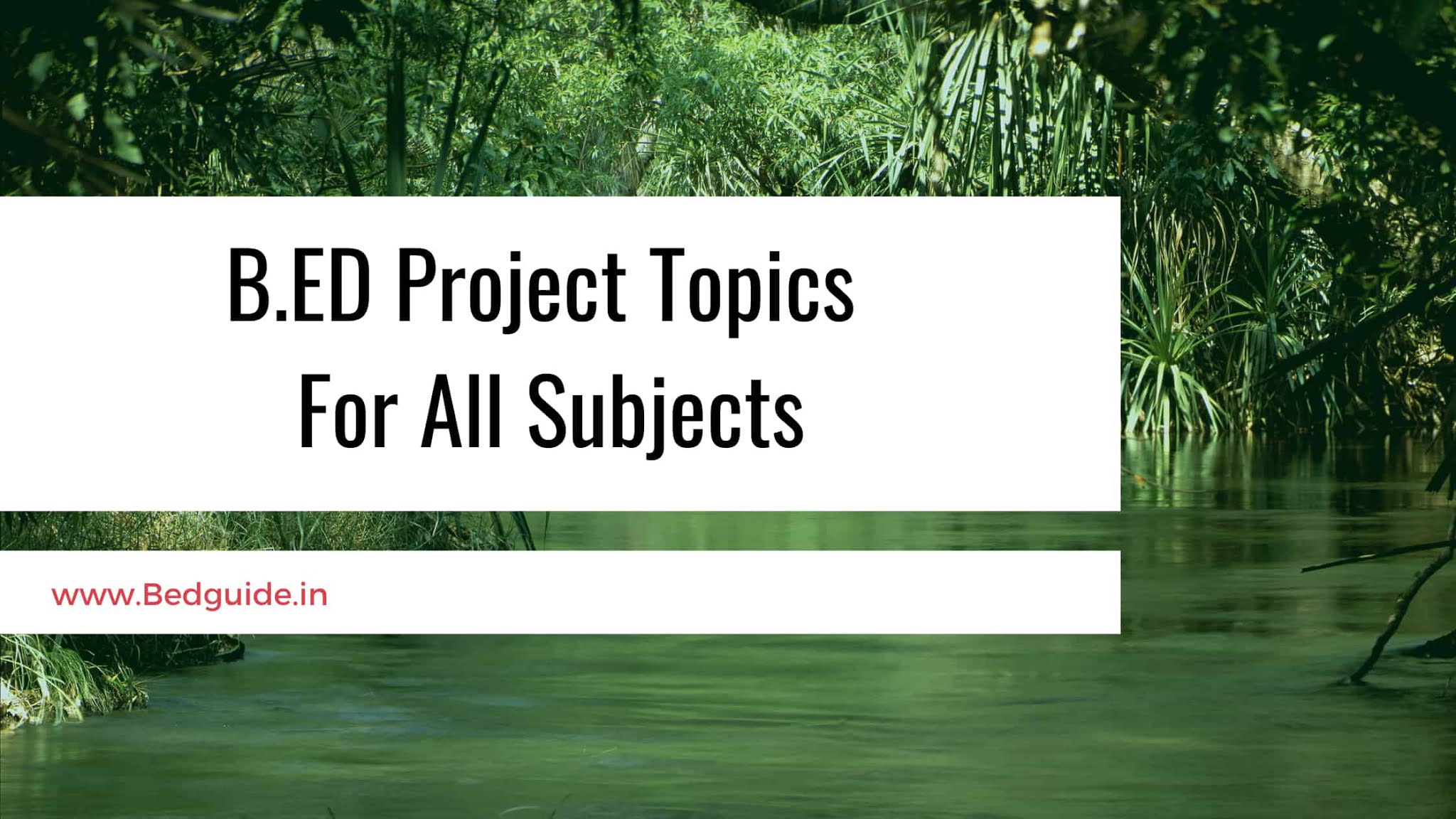 B.ED Project Topics For All Subjects