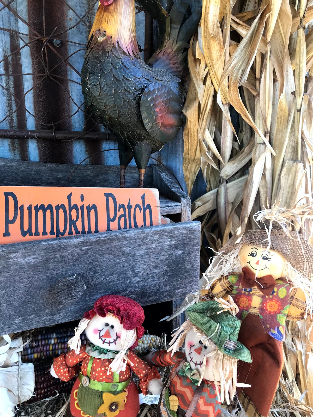The Cutest Pumpkin Baskets, Posing With The Scare Crows And Getting Lost In The CRAZIEST Maze!