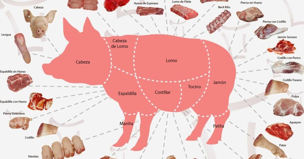 CORTES DEL CERDO MUNDO GASTRONOMICO