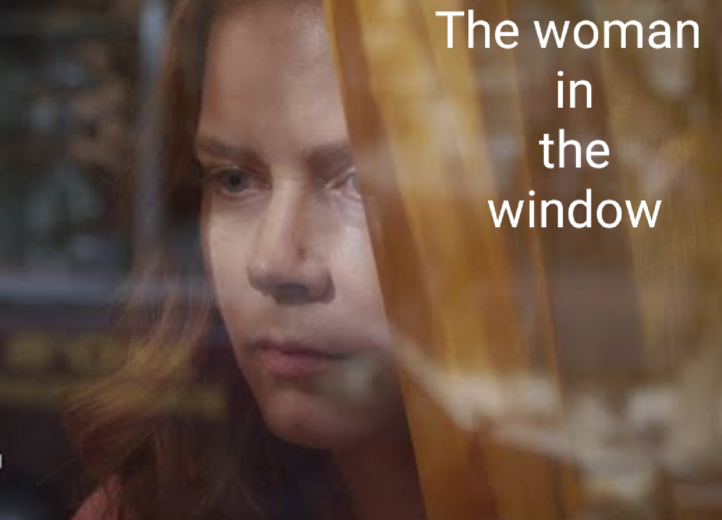 [2021] The woman in the window movie