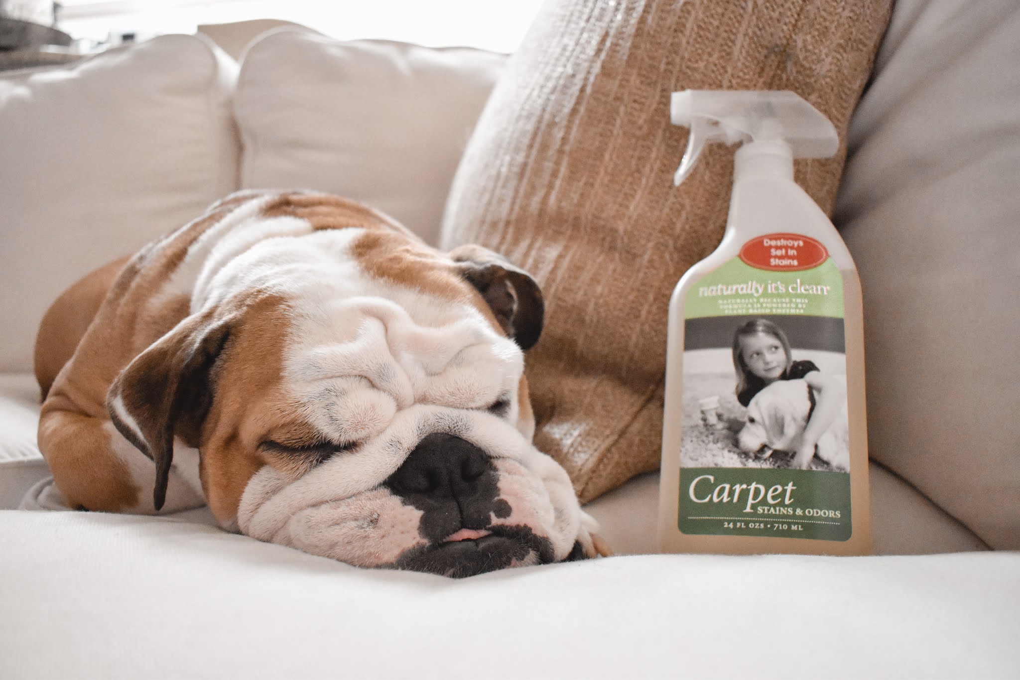 Switching our household cleaners with Naturally It's Clean!