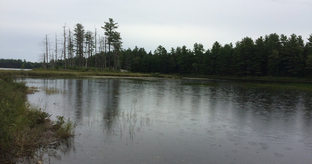 Machias River Corridor Public Reserved Land