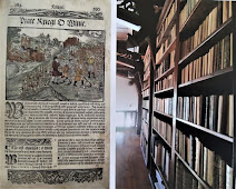 Karta z XVI w. zielnika - 1549. Starodruki Biblioteki Kórnickiej