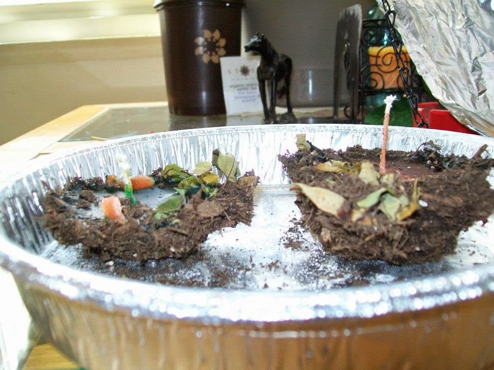 toadstoolmushroomgazer's blog Earth Candle Recipe How to make Earth