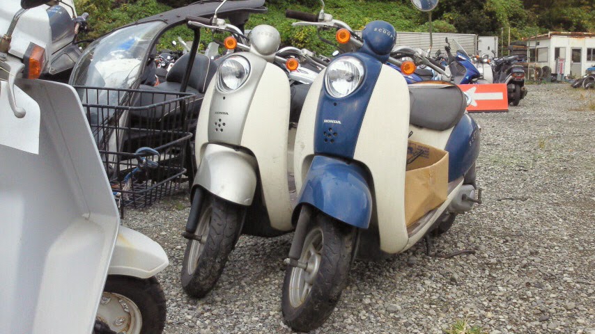 Honda crea scoopy af55