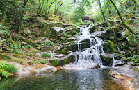 O Souto do Vello Lousame (ríos Vilacoba e San Xusto)