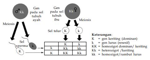 Ilmu yang mempelajari cara pewarisan sifat dari induk kepada keturunanya disebut