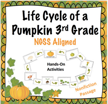All About Pumpkins Third Grade