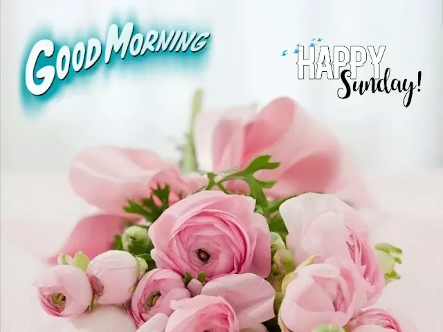 Good morning sunday hd images