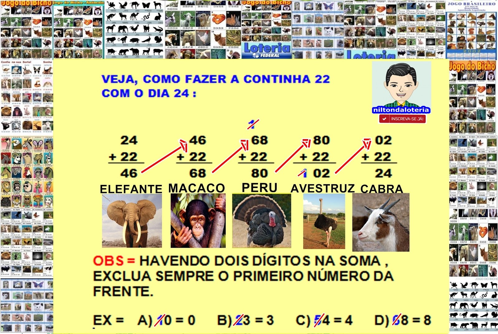 NiltondaLoteria: JOGO DO BICHO - COMO GANHAR COM O TRUQUE 22