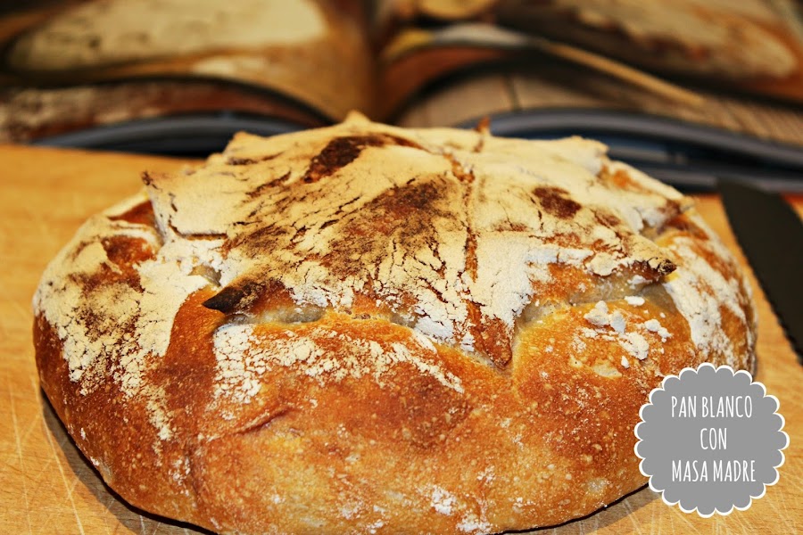 PAN BLANCO CON MASA MADRE