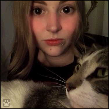 Art Cat GIF • When your Cat is confused by your Snapchat rainbow effect Whatcha doing Mom Art Cat GIF • When your Cat is confused by your Snapchat rainbow effect Whatcha doing Mom