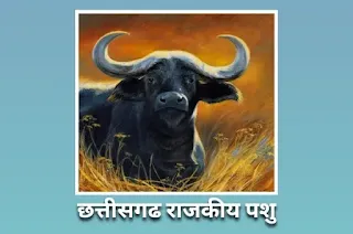 छत्तीसगढ़ राजकीय पशु