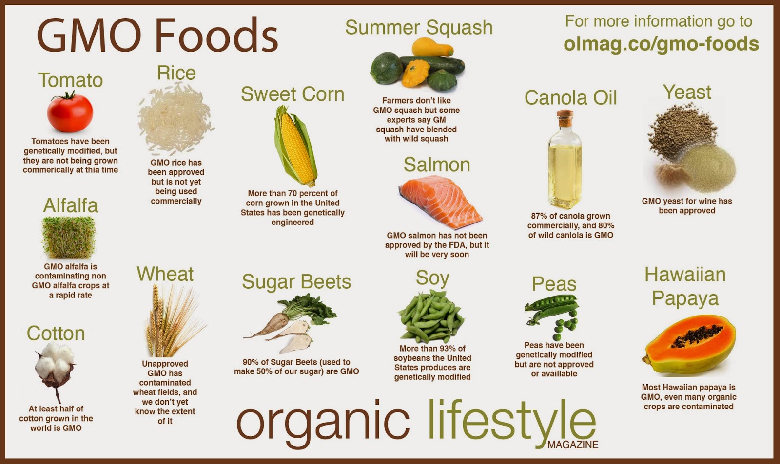 Processed Foods Foods Containing Processed Soy
