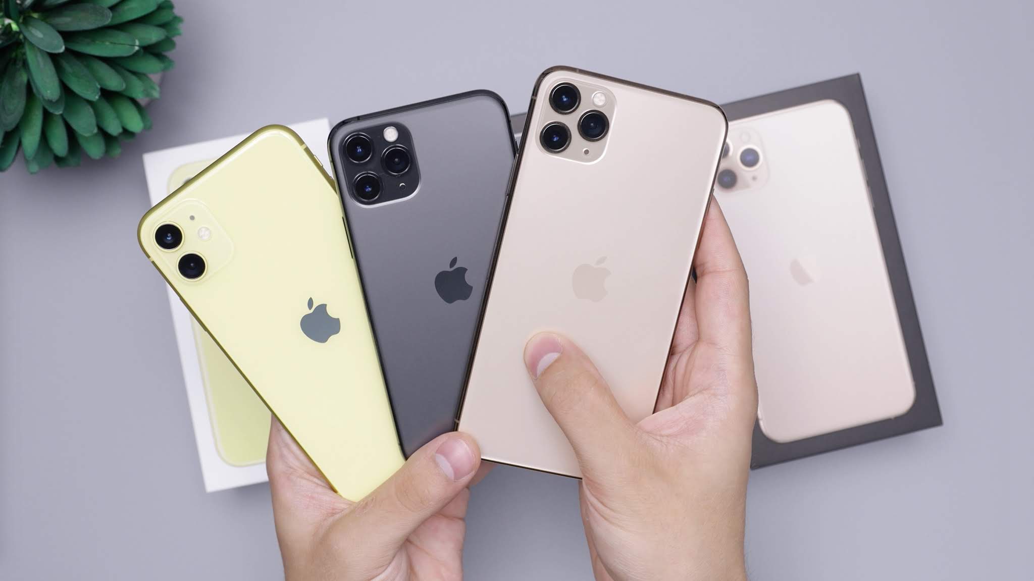 Penyebab Battery Health Iphone 11 Dan 11 Pro Cepat Menurun Pukeva