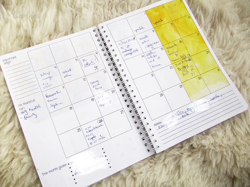 Magic Planner Review Cherry Colors Cosmetics Heaven!
