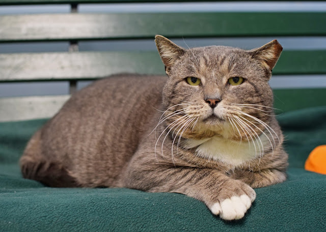 Check out Skyler's extra toesies!