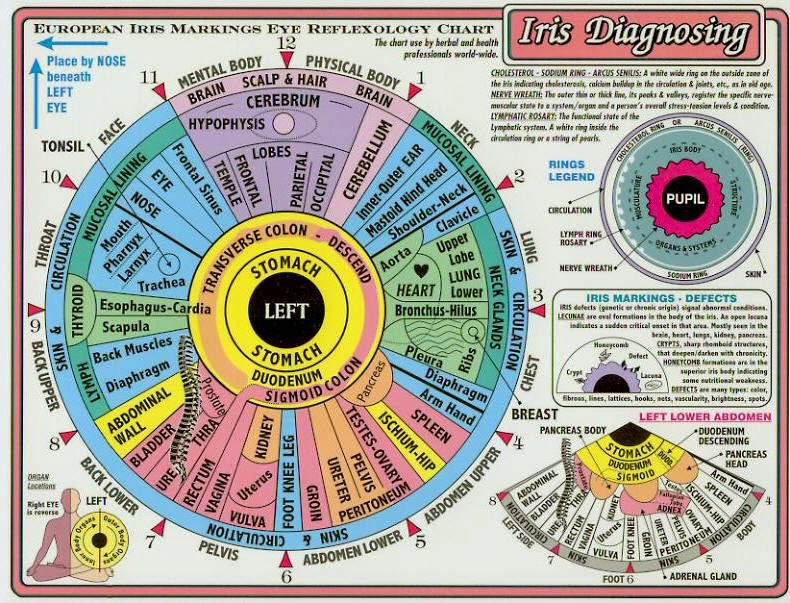 Iridology DiscoverYourAura Iridology DiscoverYourAura