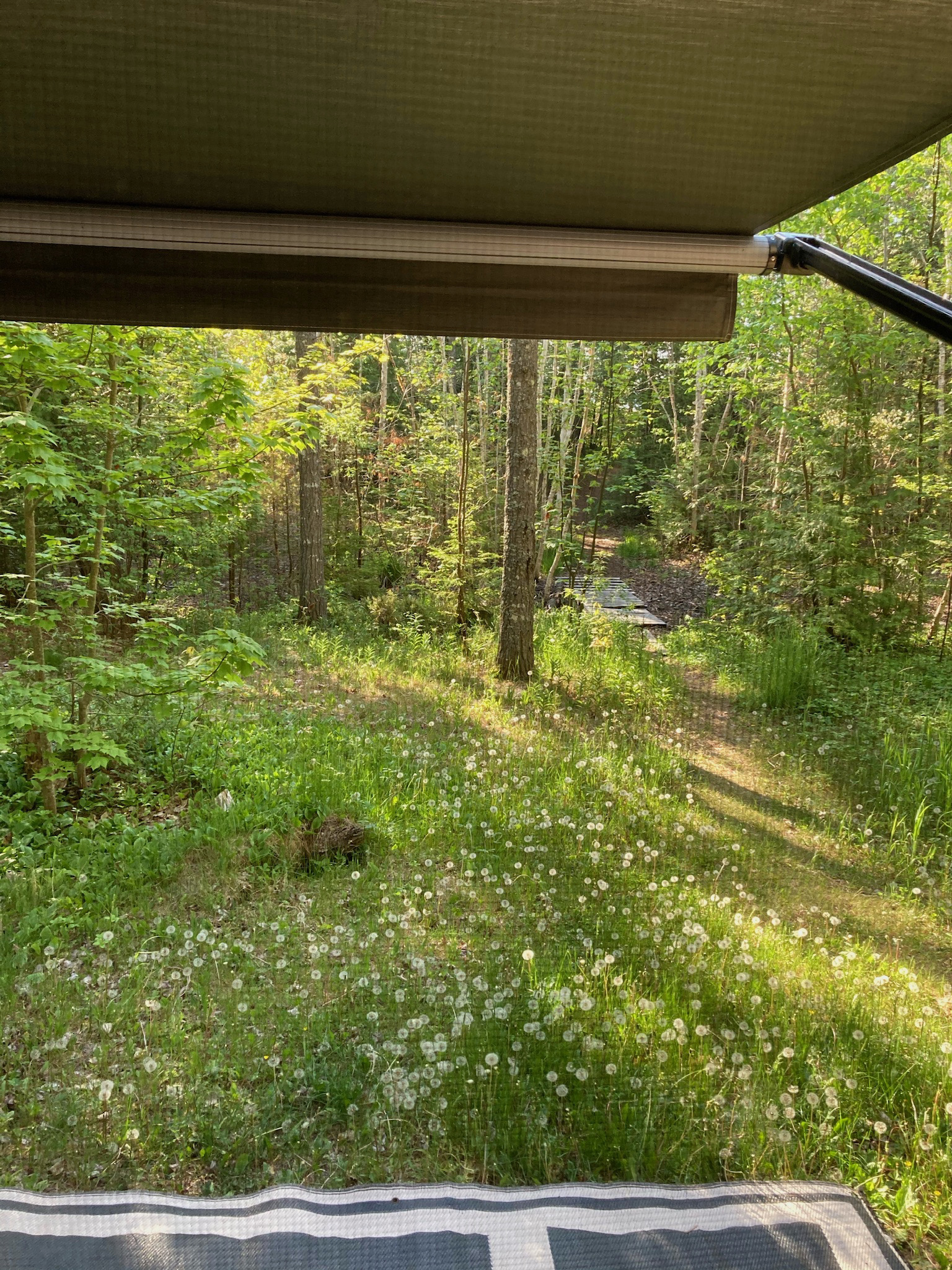 Travel Reviews & Information DeTour Village, Michigan DeTour State Forest Campground