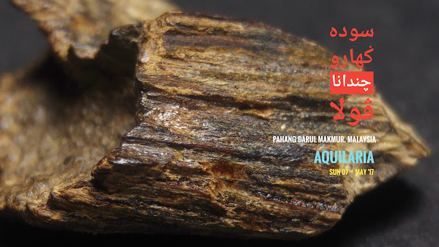 high grade agarwood that could sink underwater from Malaysia