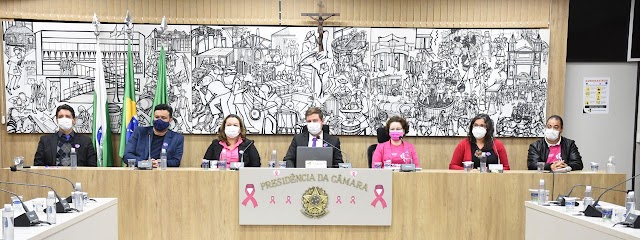 Vereadores de Colombo realizam audiência publica sobre câncer de mama 