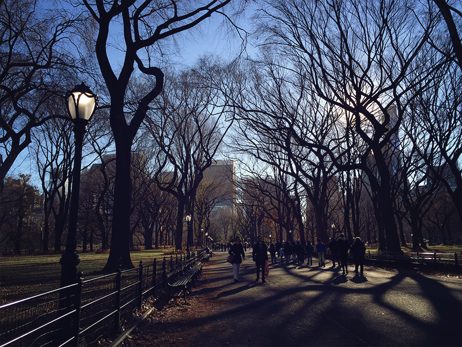 Old Tricks central park has wifi?! (day 2)