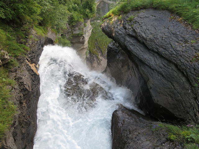 Suiza, Austria, Alemania. Agosto 2015 - Blogs de Europa Central - Día 4 (Trümmelbachfälle, Cascada Reichenbachfall y Gargantas del Aar) (8)