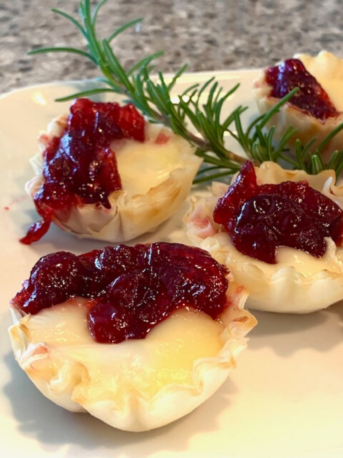 Cranberry Cheese Bites Our Good Life